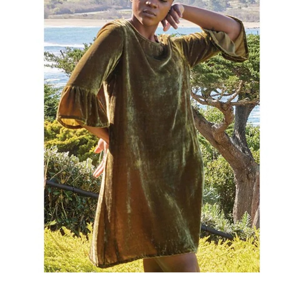 bryn Walker Phryne Maltinto velvet round neck 3/4 bell sleeve dress size L